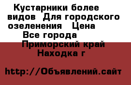 Кустарники более 100 видов. Для городского озеленения › Цена ­ 70 - Все города  »    . Приморский край,Находка г.